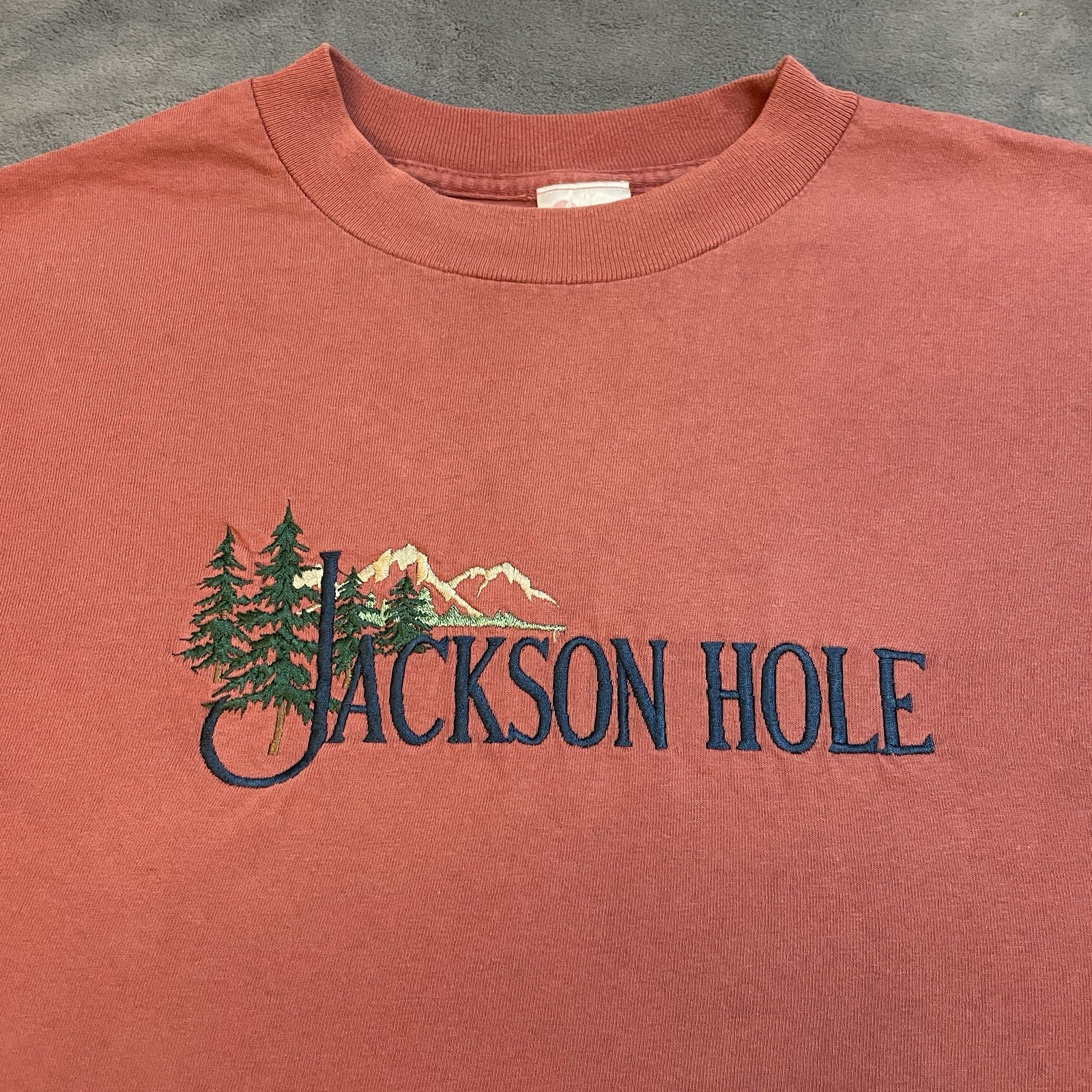 Vintage 90s Jackson Hole T-Shirt Mens Large Pine Trees Mountains Art Streetwear