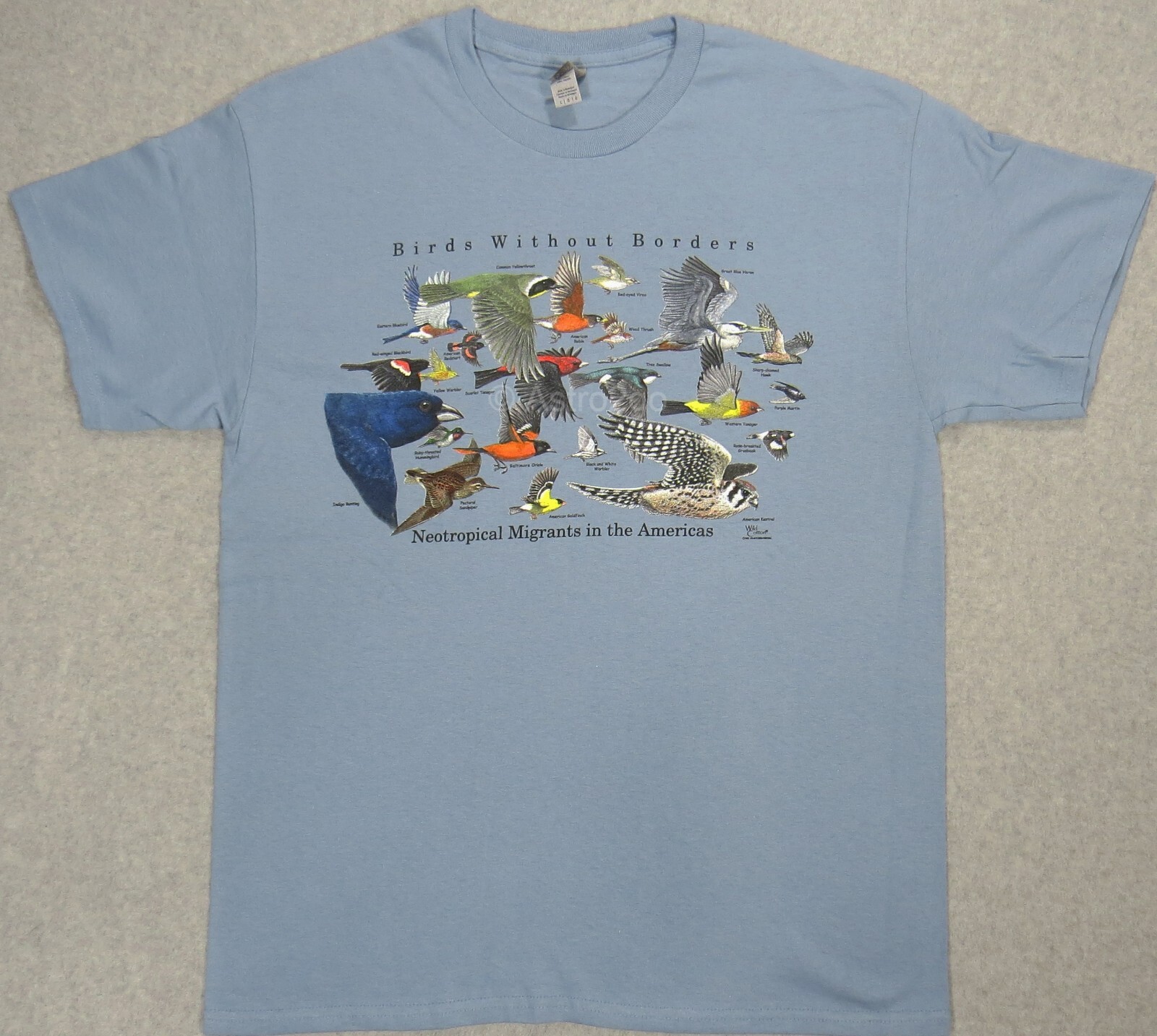 BIRDS WITHOUT BORDERS-Migration Robin Oriole Hummer Nature Science T-shirt S-XXL gallery