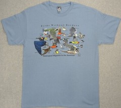 BIRDS WITHOUT BORDERS-Migration Robin Oriole Hummer Nature Science T-shirt S-XXL