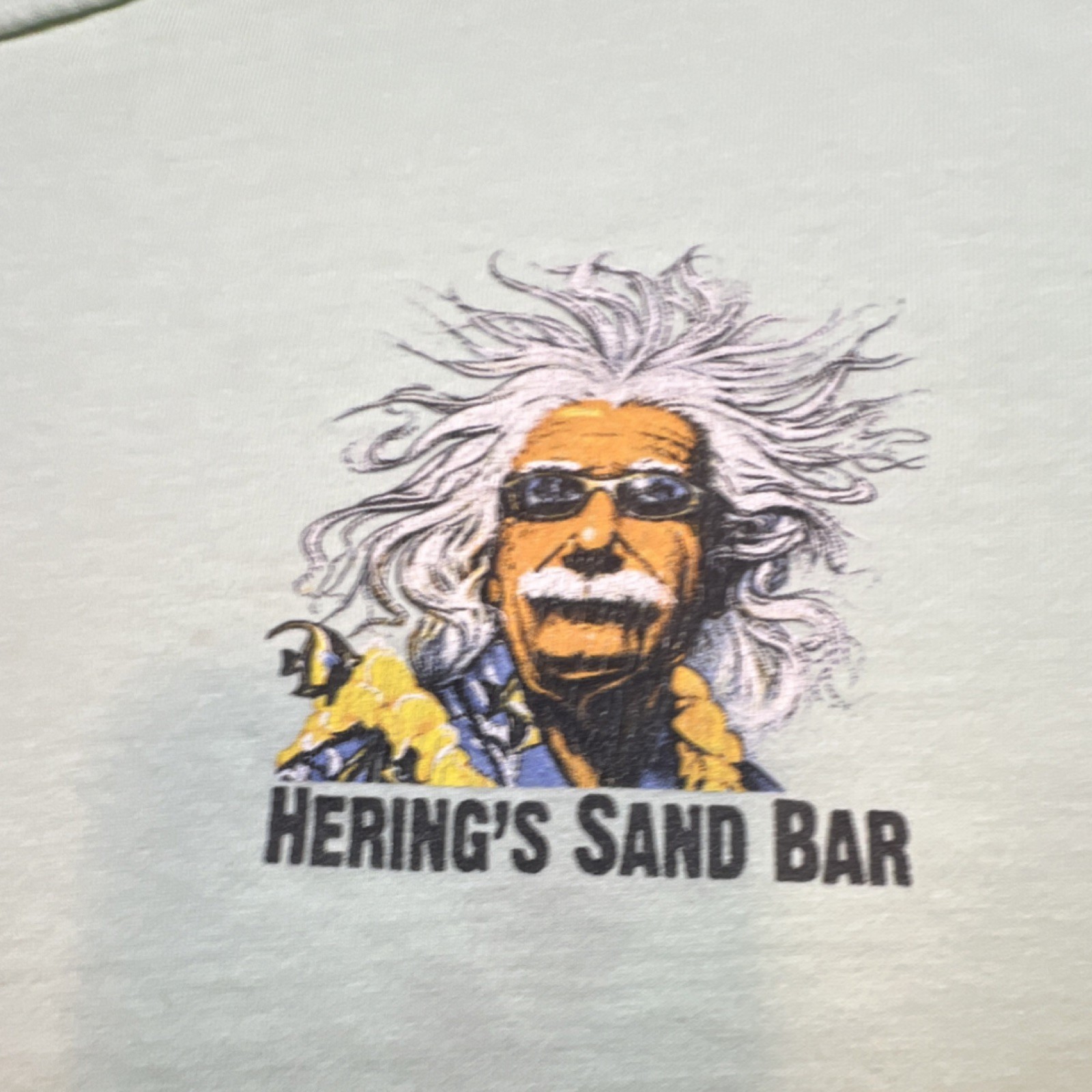 Hering's Sand Bar Light Green Graphic Print T-Shirt Men's Short Sleeve Hawaiian gallery