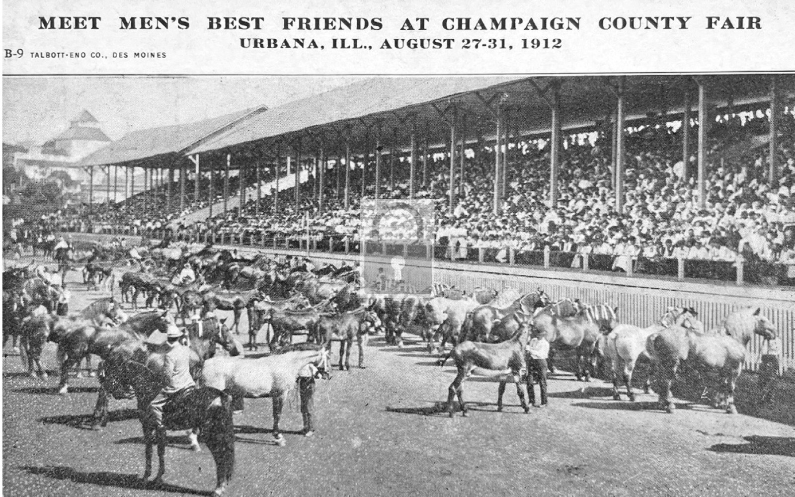 Horse Show Champaign County Fair Urbana Illinois IL – Reprint