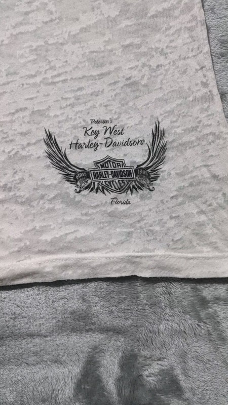 Harley Davidson Motorcycles Angel Wings Semi Sheer V Neck Shirt Womens Size L gallery