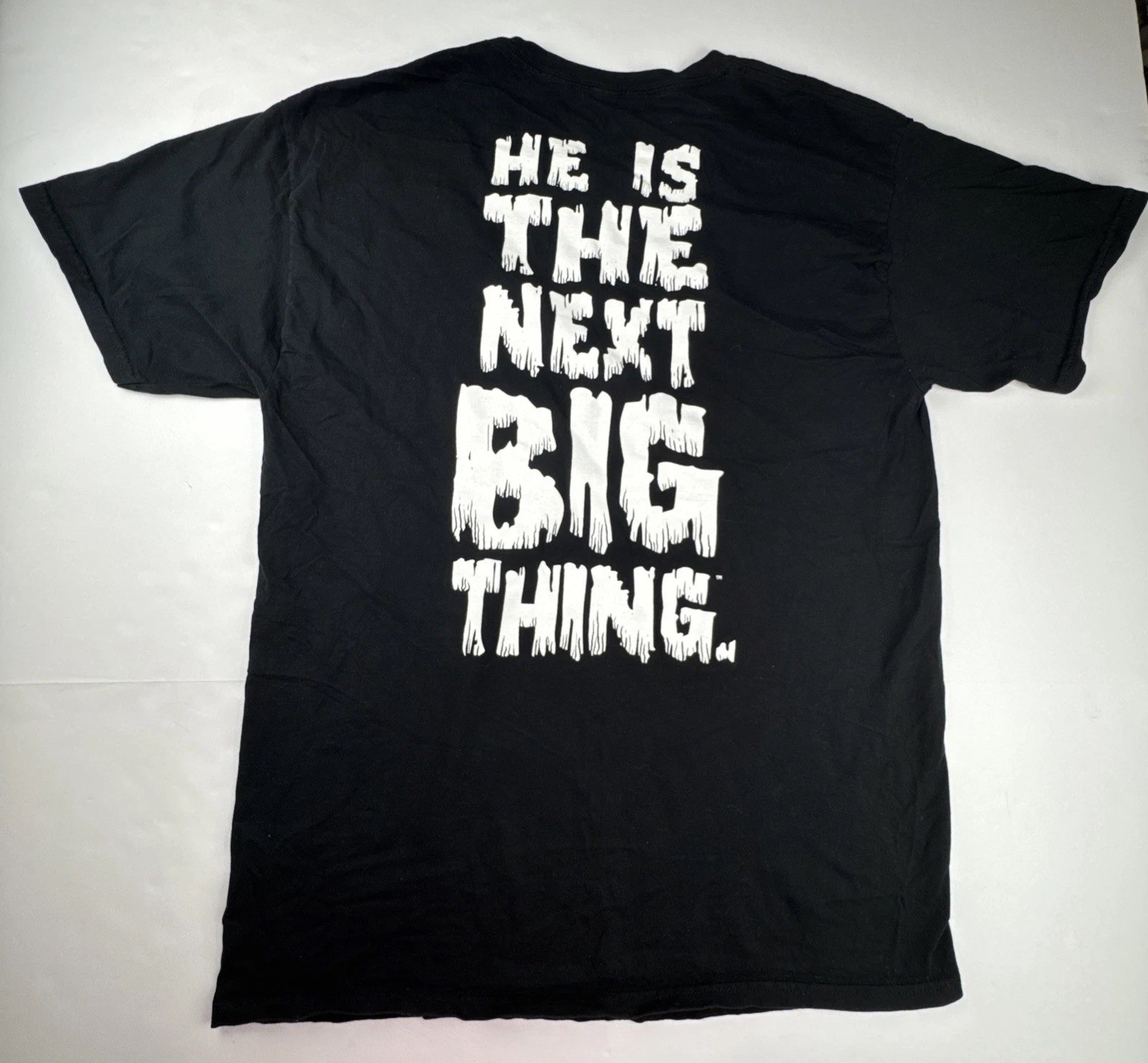 WWE Mens Brock Lesnar T-Shirt Large Black Cotton Wrestling Next Big Thing Skull gallery