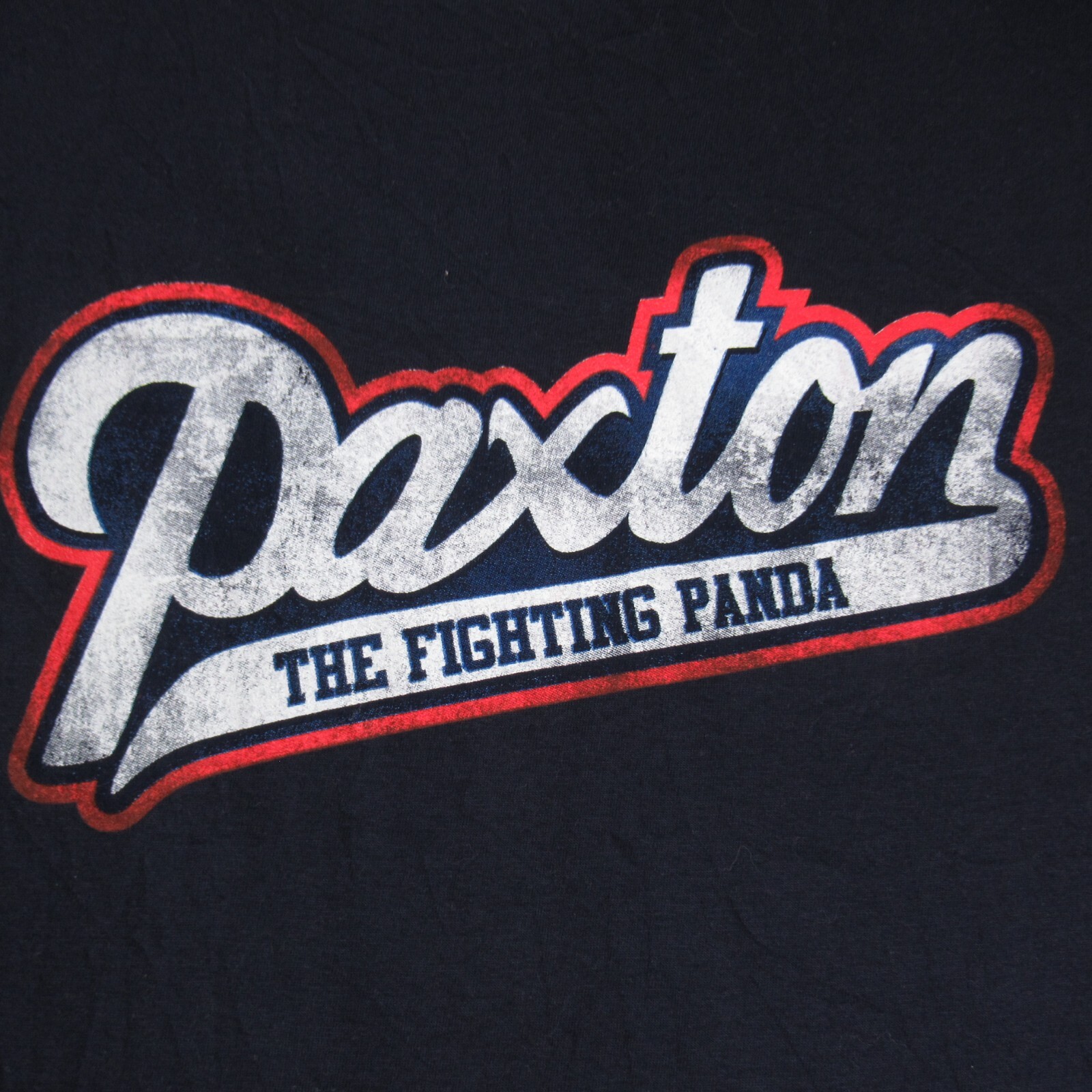 The Fighting Panda Shirt Mens Small Blue Long Sleeve T Shirt Pullover Cotton NWT gallery