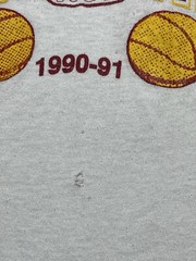 Vintage 1990-91 Dunlap Eagles IL 18-0 HS unbeaten Basketball Team Girls M Shirt