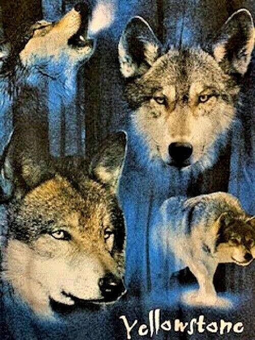 NEW Eco Mountain Men's Vintage Yellowstone Four Wolf T-Shirt Blue Heather S gallery