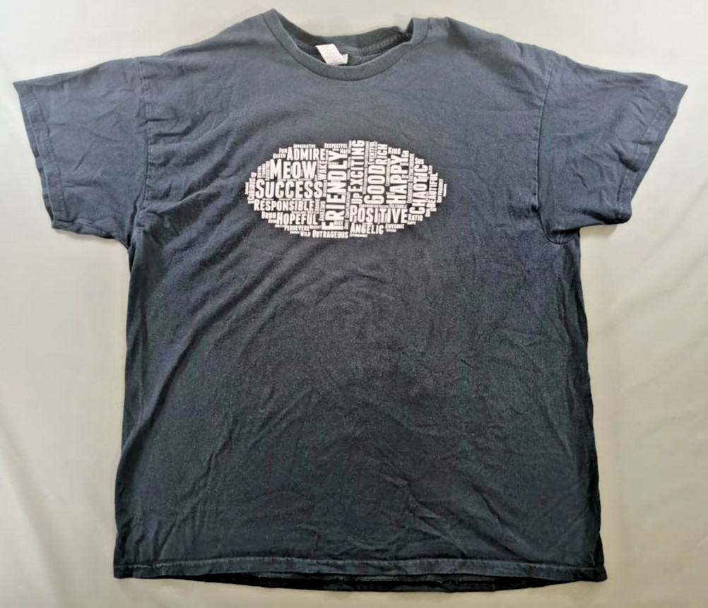 Gildan Word Cloud Positive Affirmation Graphic T-Shirt Meow Bruh Y2K Men XL
