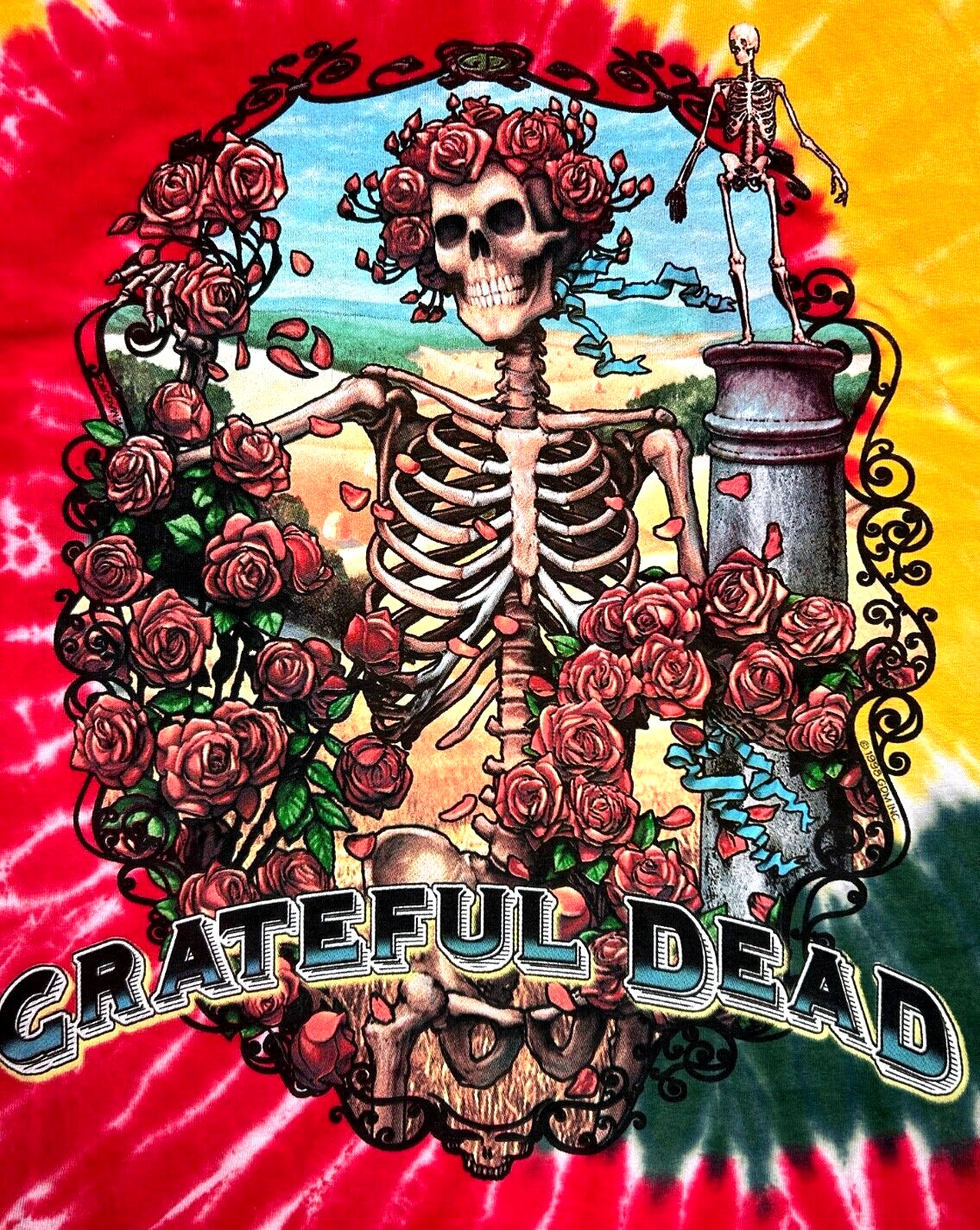 Grateful Dead Bertha Multi-Color Tie Dye T-Shirt Size Large Brand New gallery