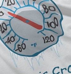 Life is Crap Freezing Temperatures Winter Womens or Mens Crewneck T Shirt Tee