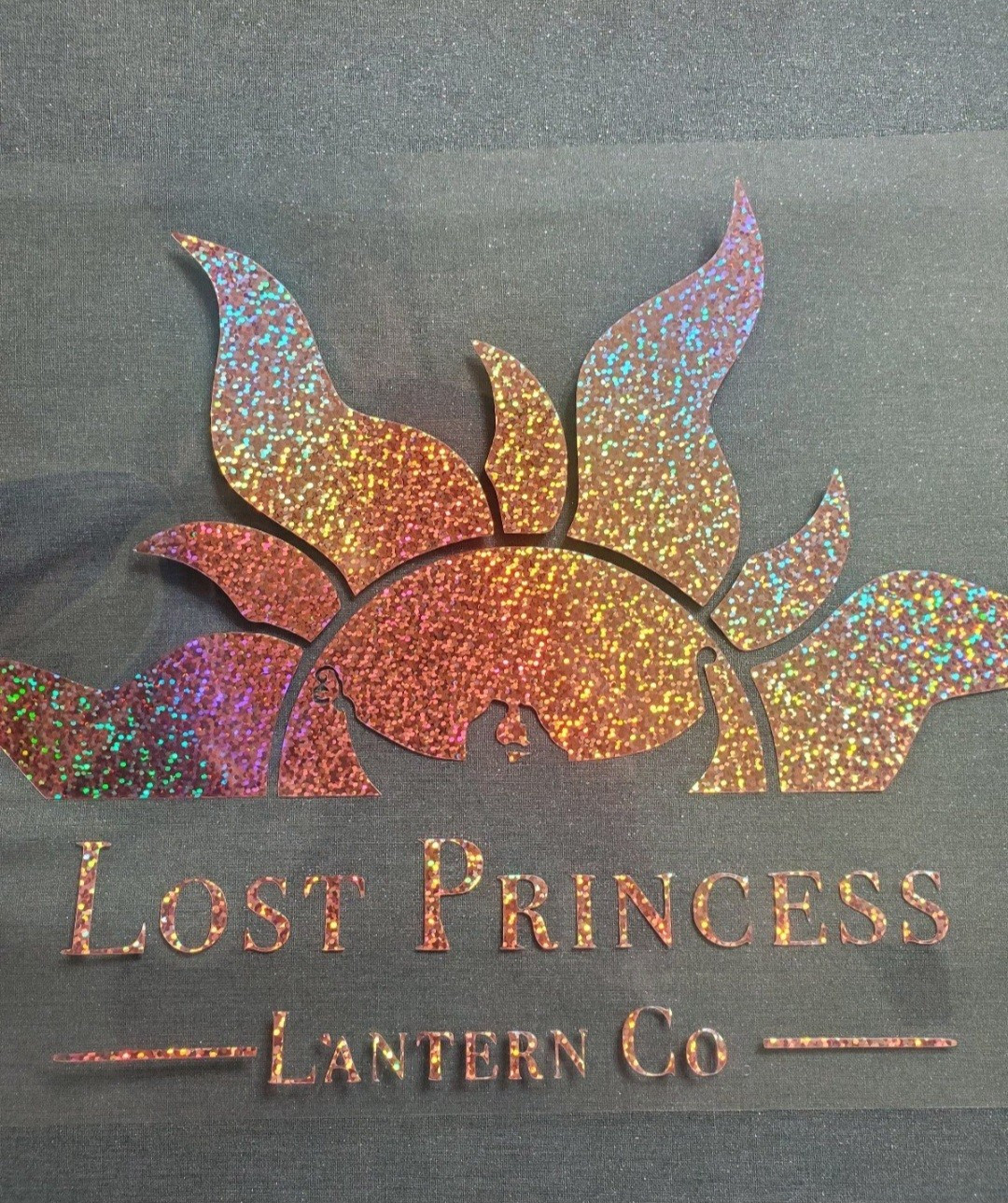 Rapunzel’s Tangled IRON ON Shirt DECAL