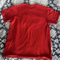 Washington DC USA Embroidered Graphic Tee Men’s Size L Red Delta Pro Weight