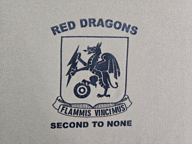 US Army Shirt Mens XL Flammis Vincimus Red Dragons Beige Second to None gallery