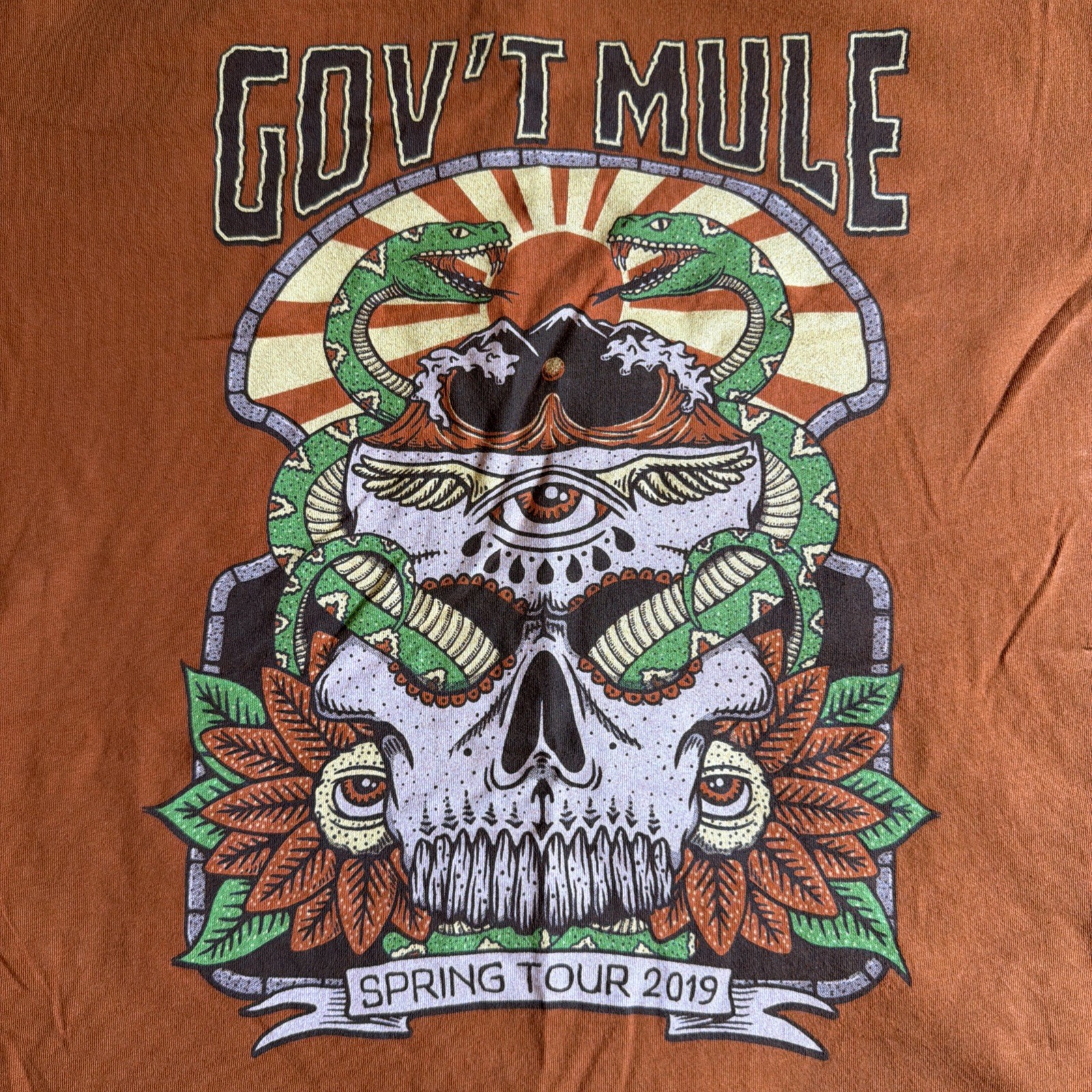 GOV’T MULE 2019 Spring Tour 2XL shirt psychedelic skull snake design RARE TEE gallery