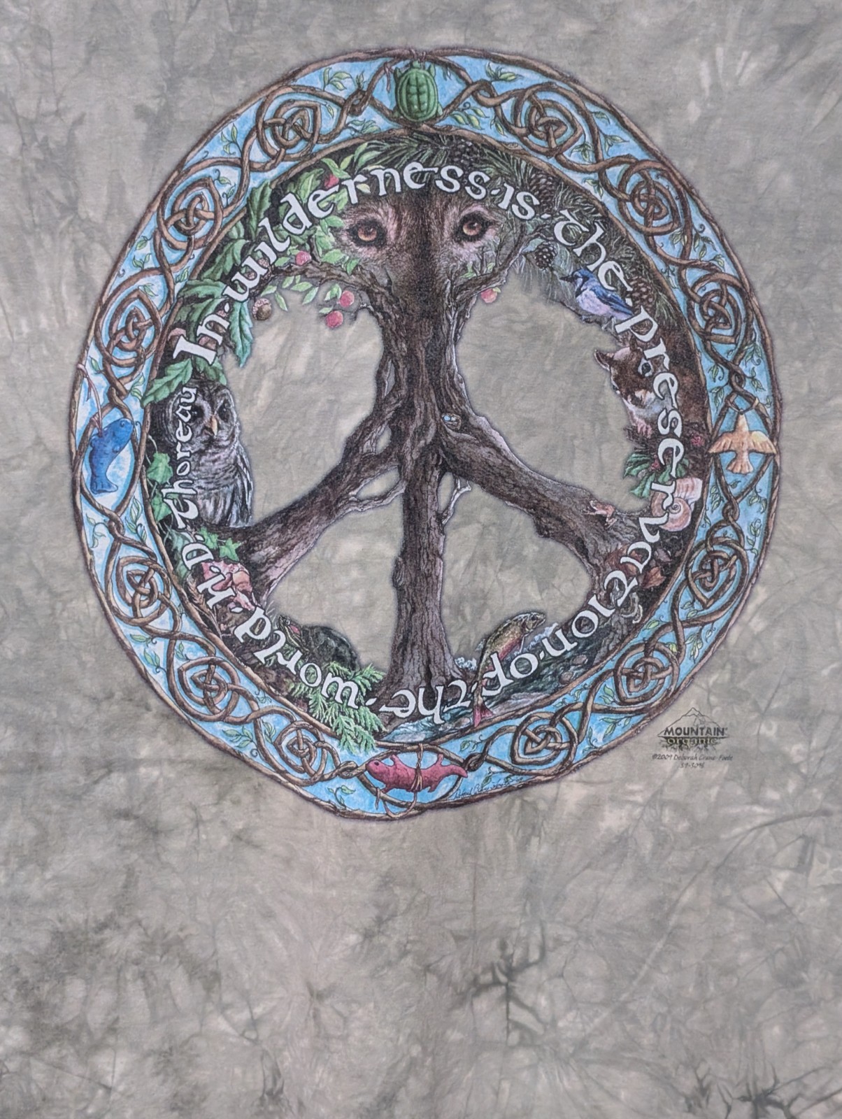 The Mountain Organic Mens T-shirt Green Peace Tree Of Life Retired Logo XL #4829