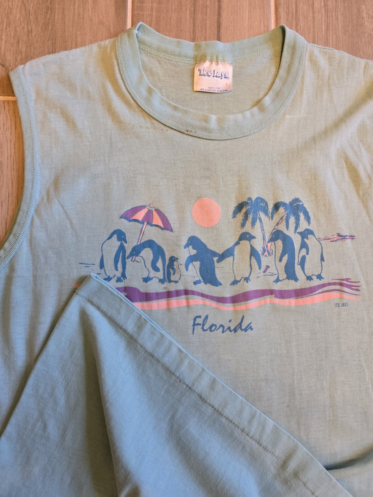 VTG Florida Beach Penguins Distressed Tank Top Mens L Tee-Jays Single Stitch USA gallery