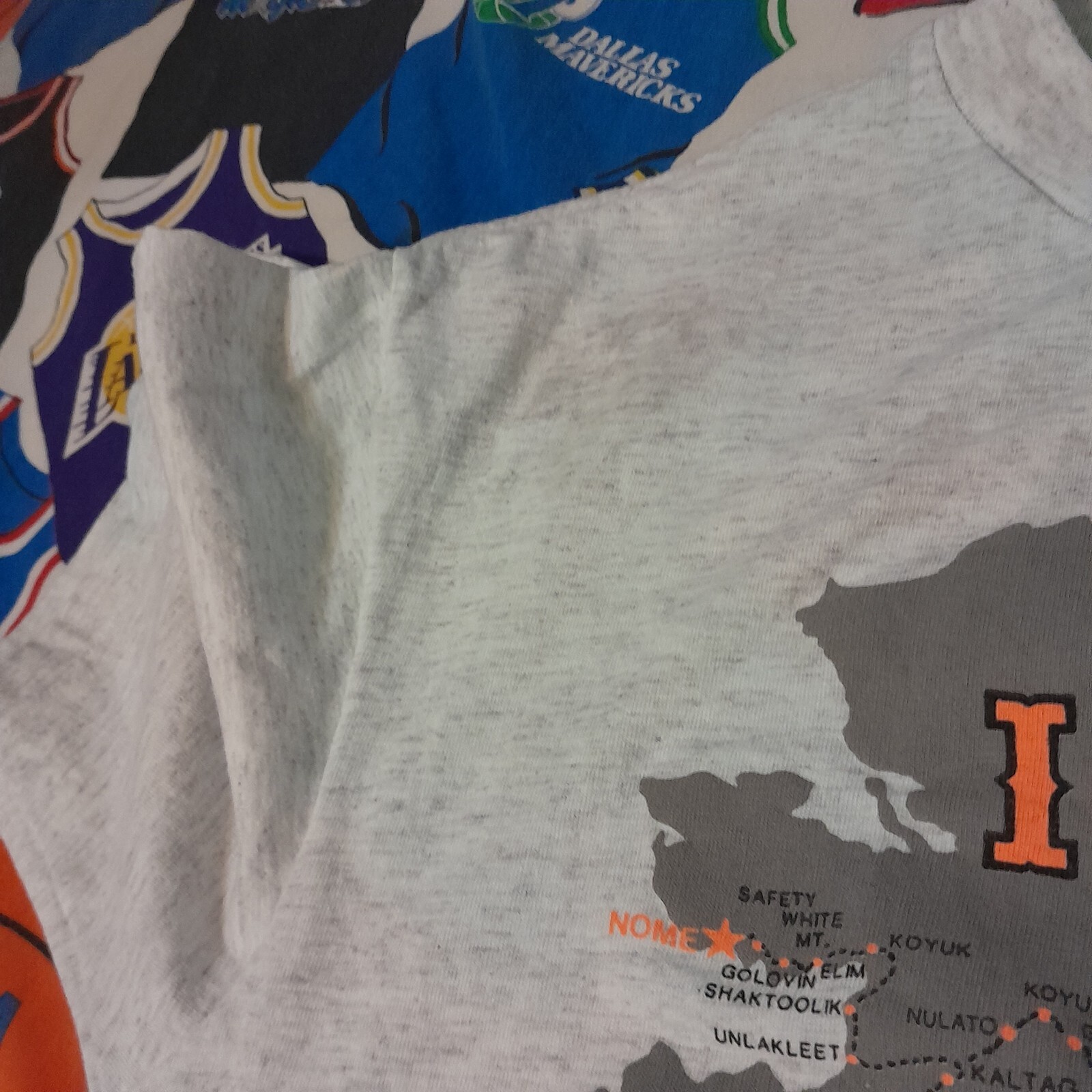 Vtg 90s Alaska Iditarod T-shirt Men Size L Large huskies sof tee teejays USA gallery