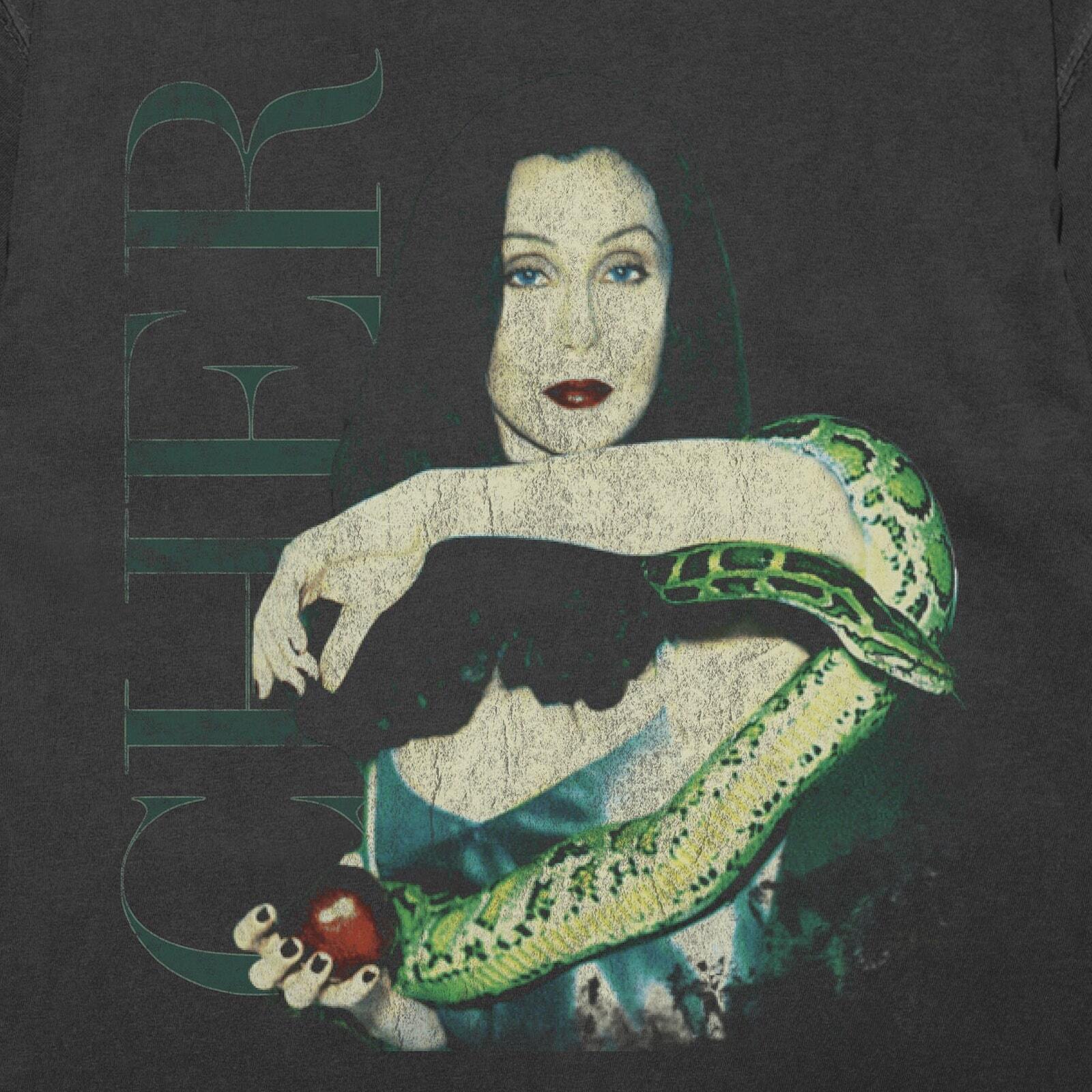 Vintage Cher Shirt, Cher Walking in Memphis, Cher T Shirt