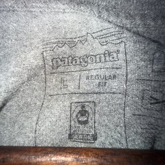 Patagonia Men’s Long Sleeve Size Large Reg Fit Hiking Casual Outdoor Activities