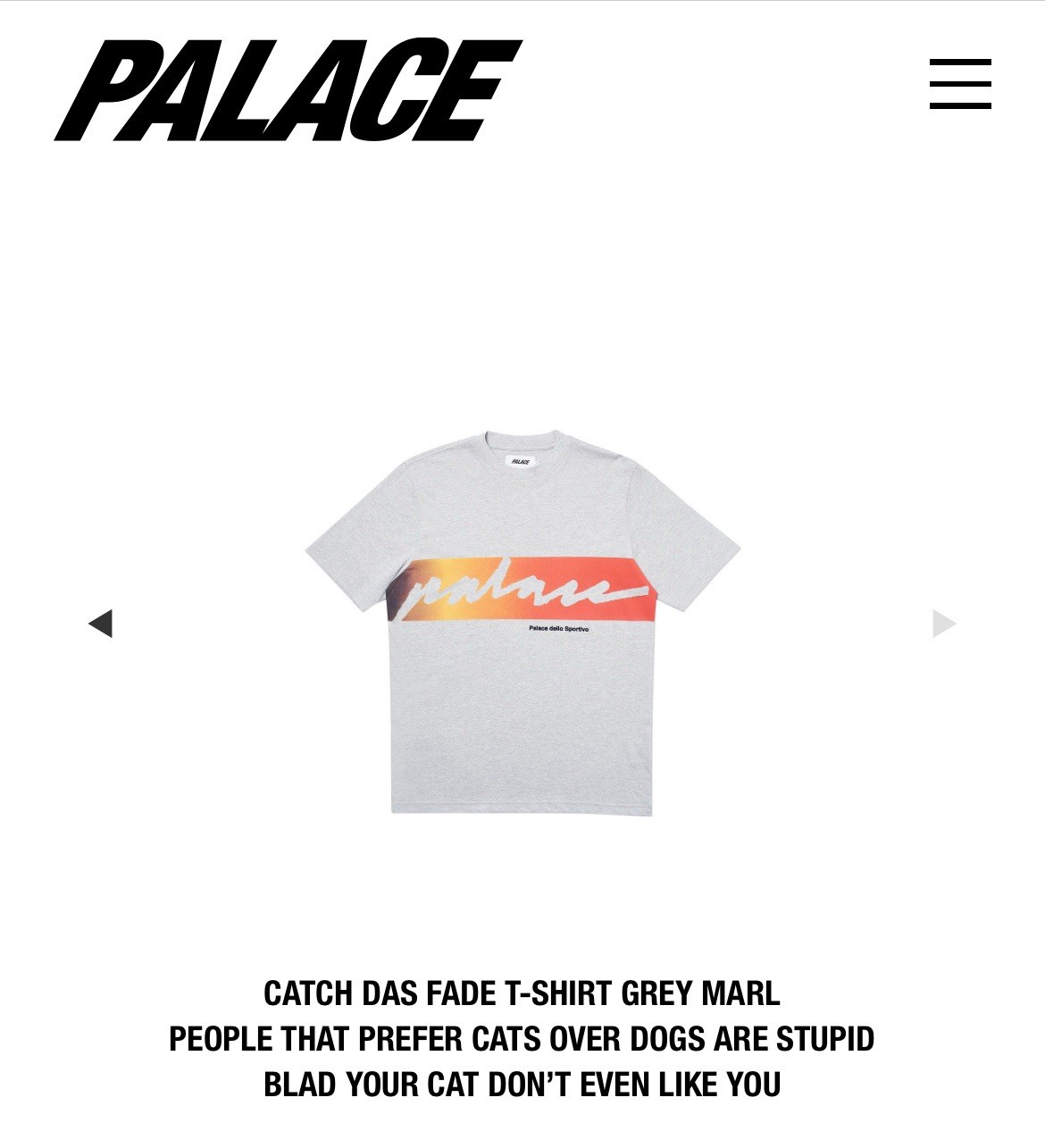SPRiNG 2020 PALACE SKATEBOARDS CATCH DAS FADE TEE HEATHER Palazzo dello Sportivo gallery