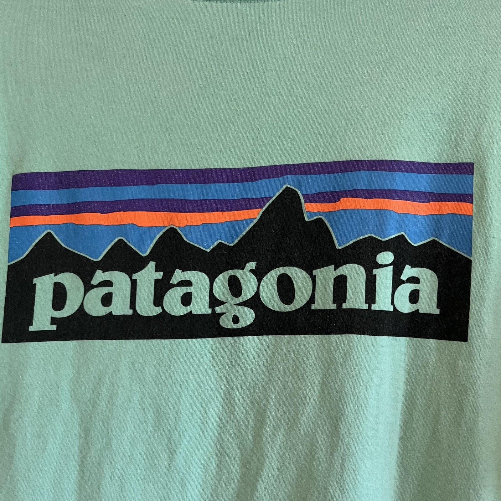 Patagonia Shirt Mens Large Green Regular Fit P-6 Logo Graphic Outdoor Tee gallery
