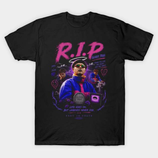 Rest In Peace Tribute T-Shirt Vintage Music Legend Graphic Tee Memorial Art