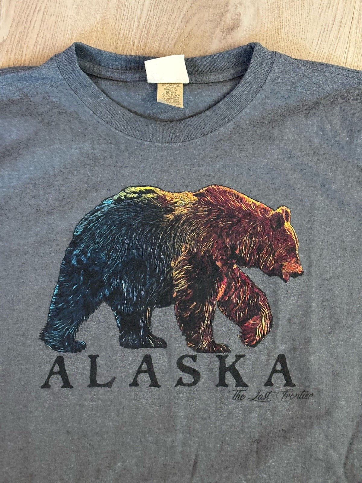 Vintage Y2K Alaska The Last Frontier T-shirt XL Eco & Mountain USA Made EUC gallery