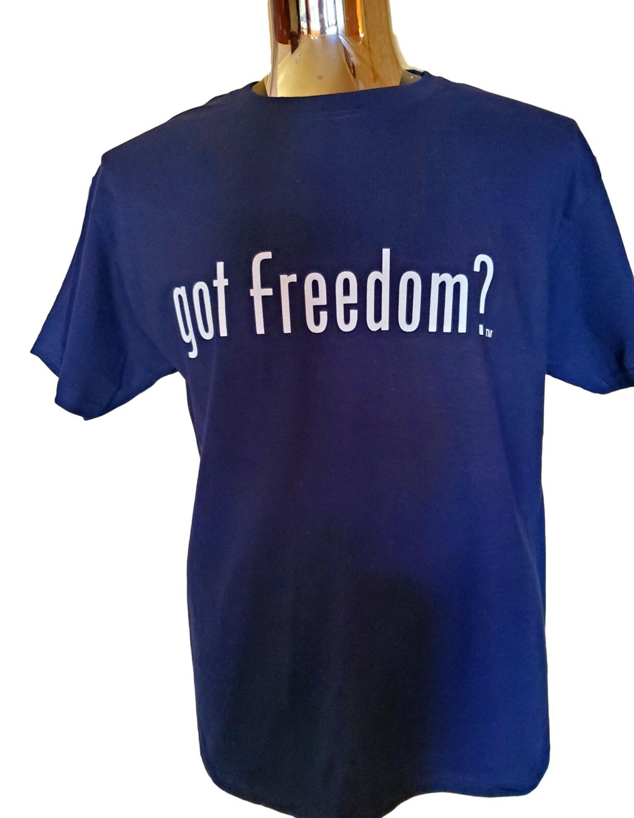 U S AIR FORCE Mens Size Medium T Shirt GOT FREEDOM gallery