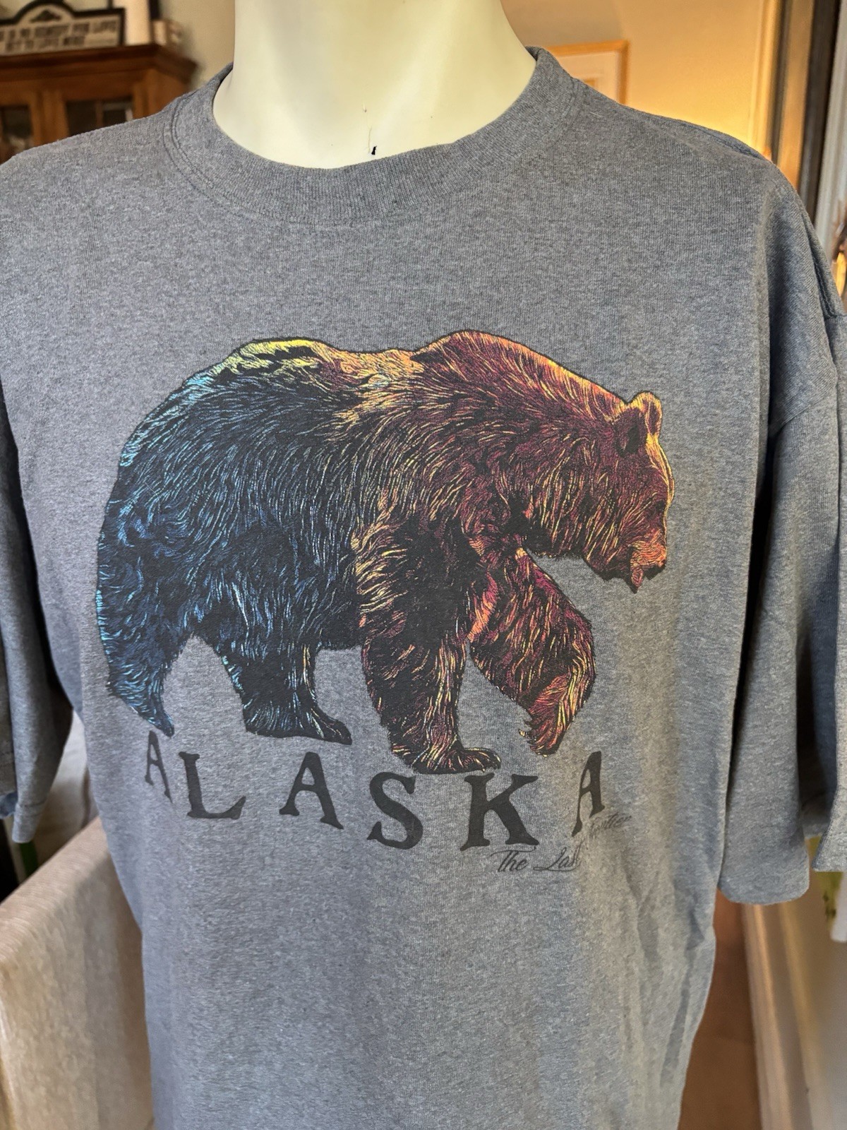 Vintage Y2K Alaska The Last Frontier T-shirt XL Eco & Mountain USA Made EUC gallery