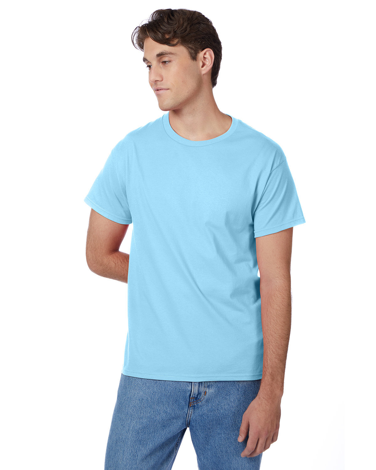 2 Pack Of Hanes 5250T Mens Short Sleeve T Shirt Authentic-T Stylish Top T-Shirt gallery
