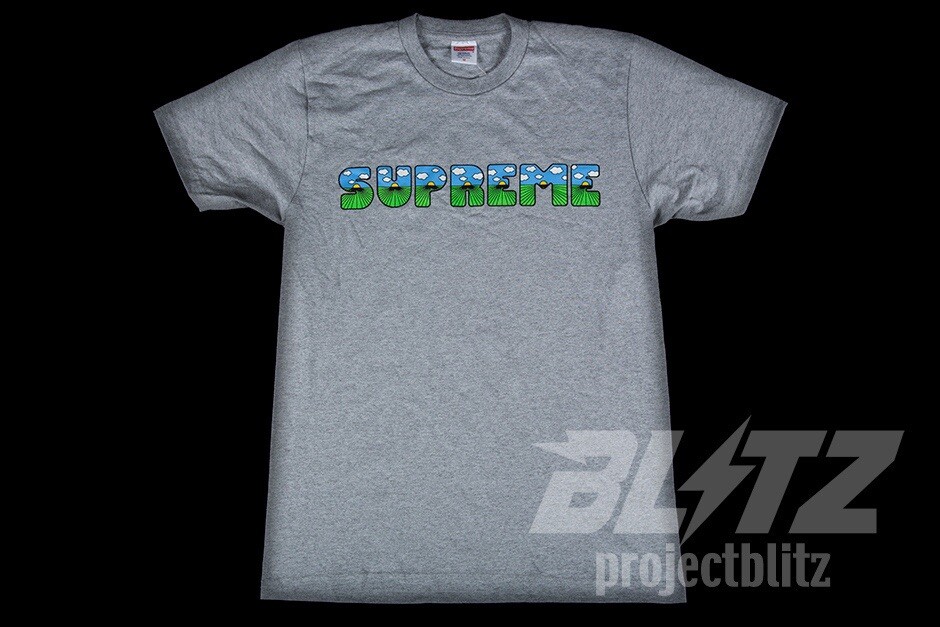 SS16 SUPREME TEE T-SHIRT HEATHER GREY L 2016 gallery