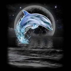 Dolphin Wilderness T Shirt Choose Style & Size Up to 4XL 10472