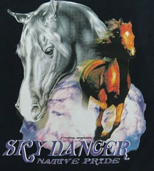Sky Dancer Native Pride Horses, Graphite Men’s T-Shirt Size M.