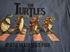 3 The Beatles Imitation Airplane Funny Travel T Shirts Turtles, Bennet’s