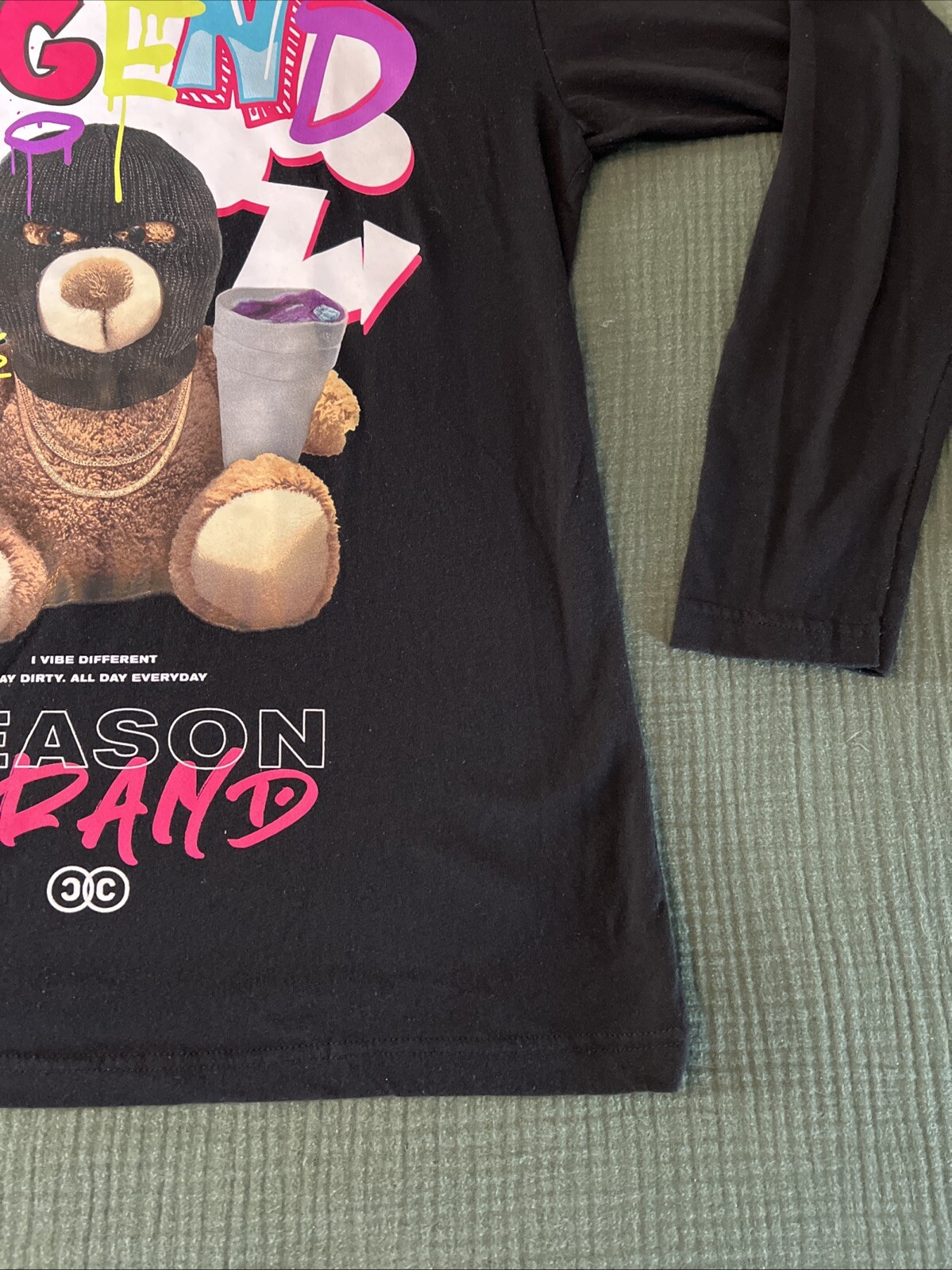 Reason Brand Teddy Bear Legend T-Shirt- Mens LARGE “the World Is Yours” Tee gallery