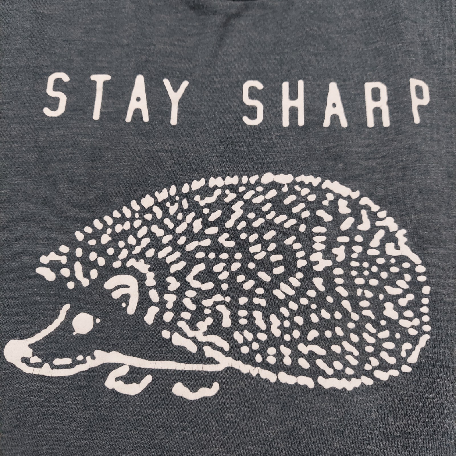 Ripple Junction Stay Sharp Hedgehog Graphic T-Shirt Men's 2XL Blue Tee Casual gallery