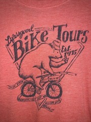 Life Is Good Orange~Rust Semi-Fitted Men’s Medium Long Sleeve T-Shirt Bike Tours