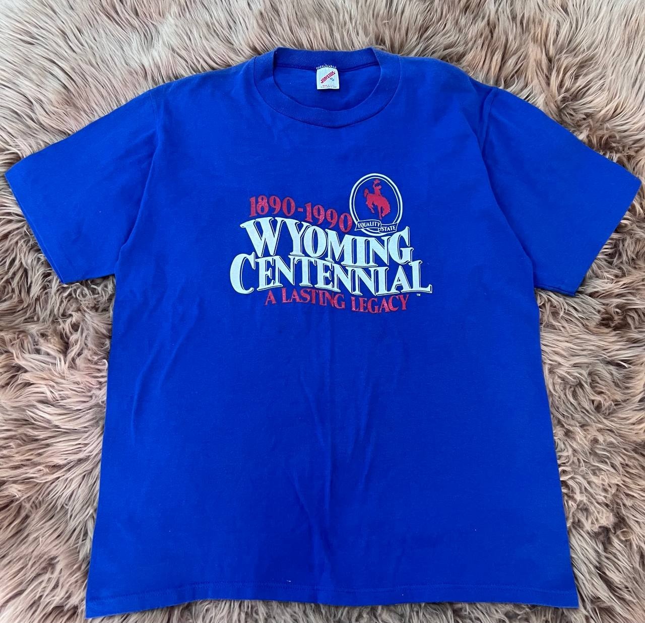 Vintage 1990 Wyoming Centennial T Shirt XL Jerzees Single Stitch USA Tee Blue