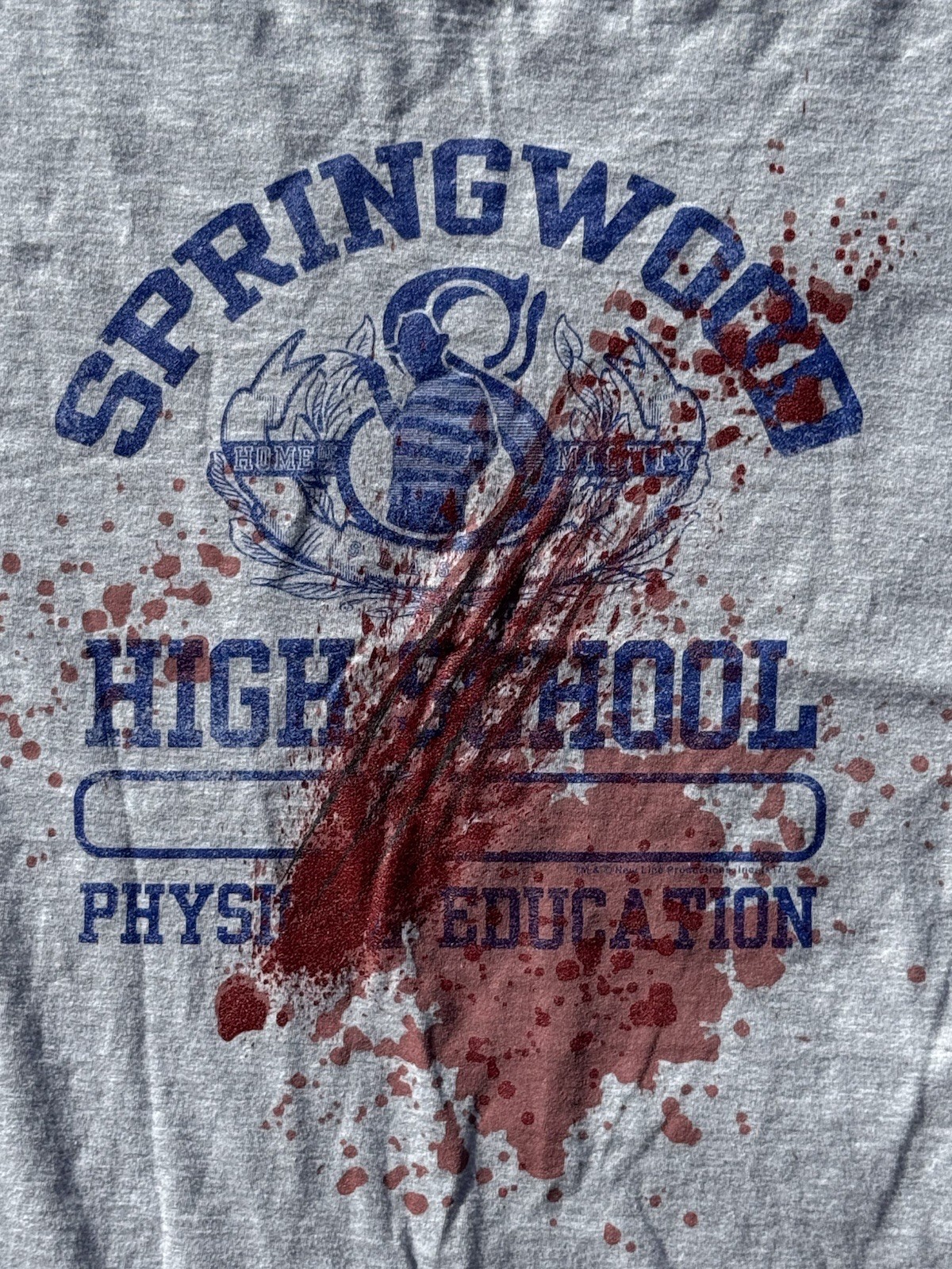 Nightmare On Elm Street Springwood High Physical Education Mens T Shirt 5XL gray gallery