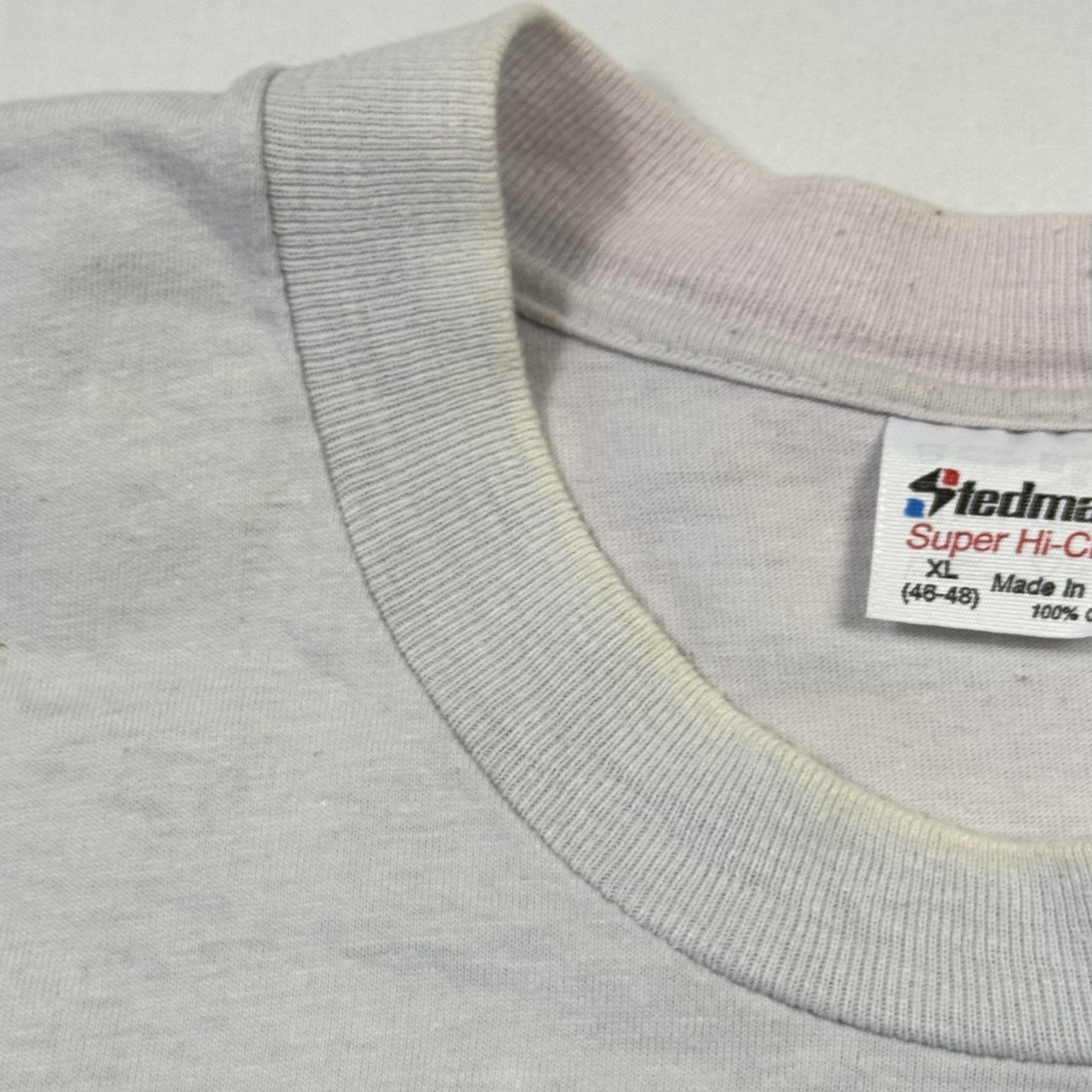 Vintage Stedman Shirt Mens XL Gray Ludington State Park Camping Graphic Tee USA gallery