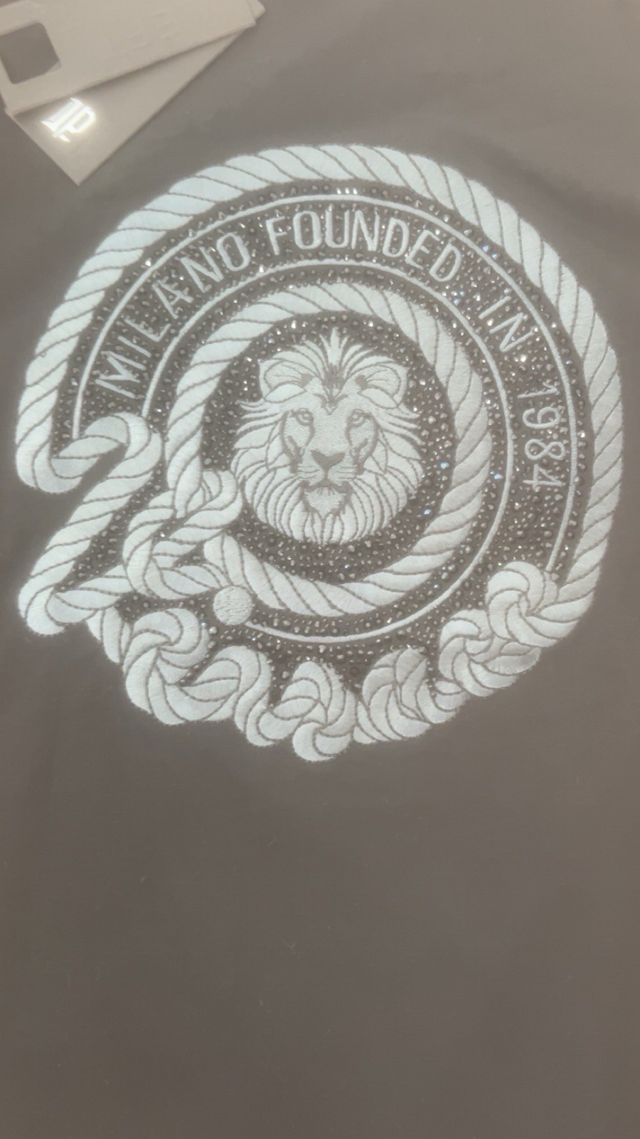 Left Point Lion Graphic Black Cotton T-Shirt Embroidered Logo Milano Men's M gallery