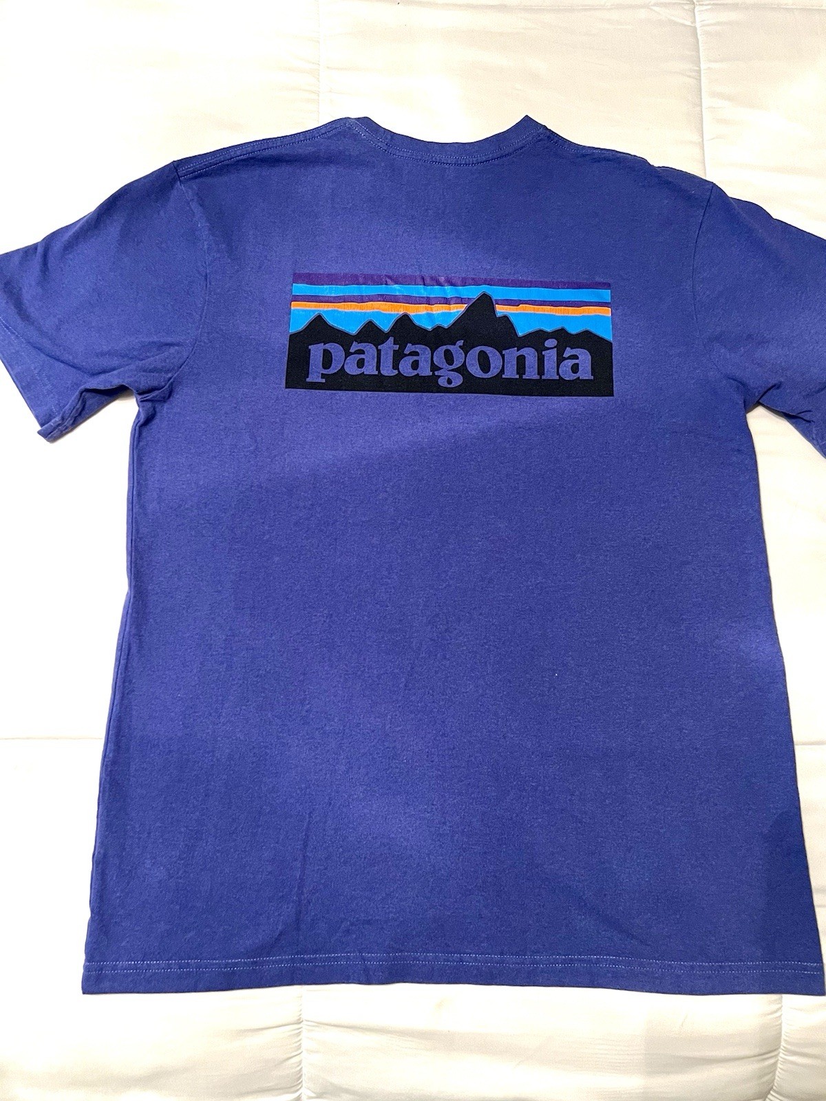 Patagonia Men's Casual Crew Neck T-Shirt Short Sleeve, Size Medium , Blue gallery