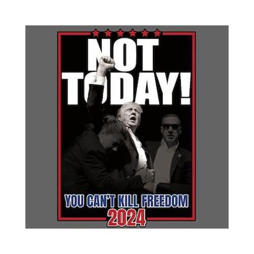 Not Today! Can't Kill Freedom Long Sleeve T-Shirt 2024 MAGA USA gallery