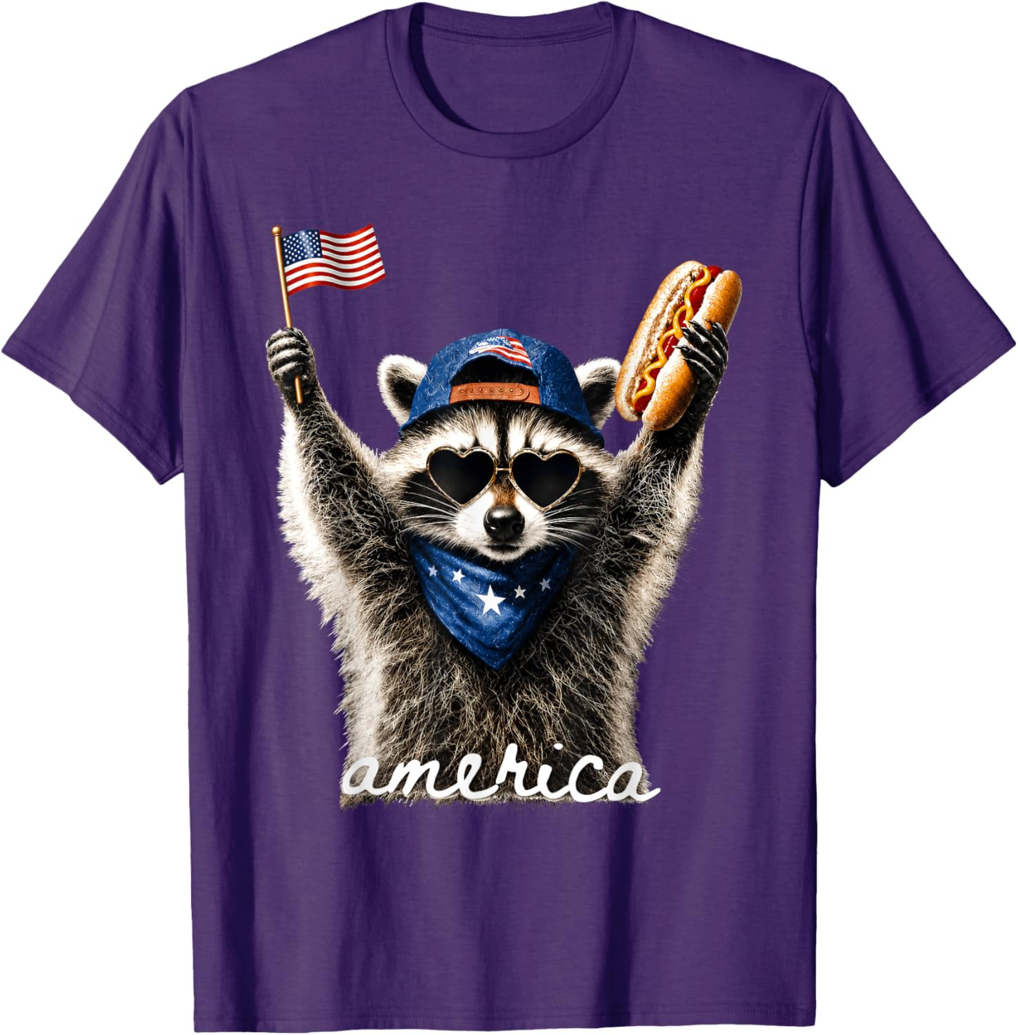 USA America Raccoon Hot Dog 1776-2026 4th of July 250 Years T-Shirt gallery