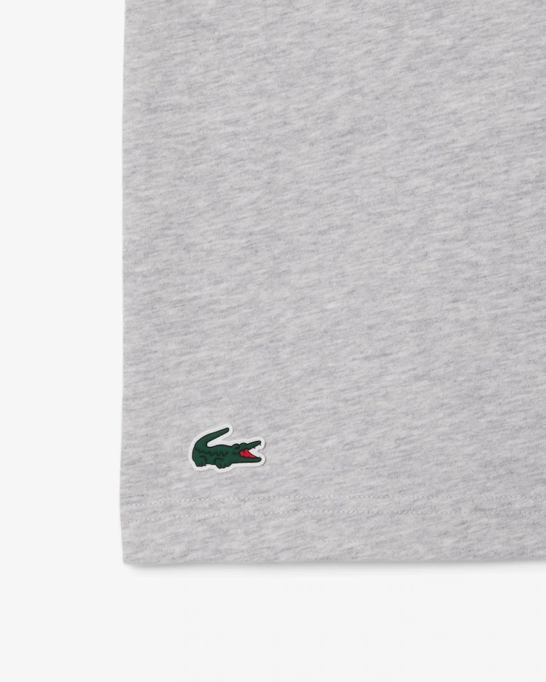 Lacoste x Novak Djokovic Men's Regular Fit Gray On Court T-shirt & Cap Medium gallery