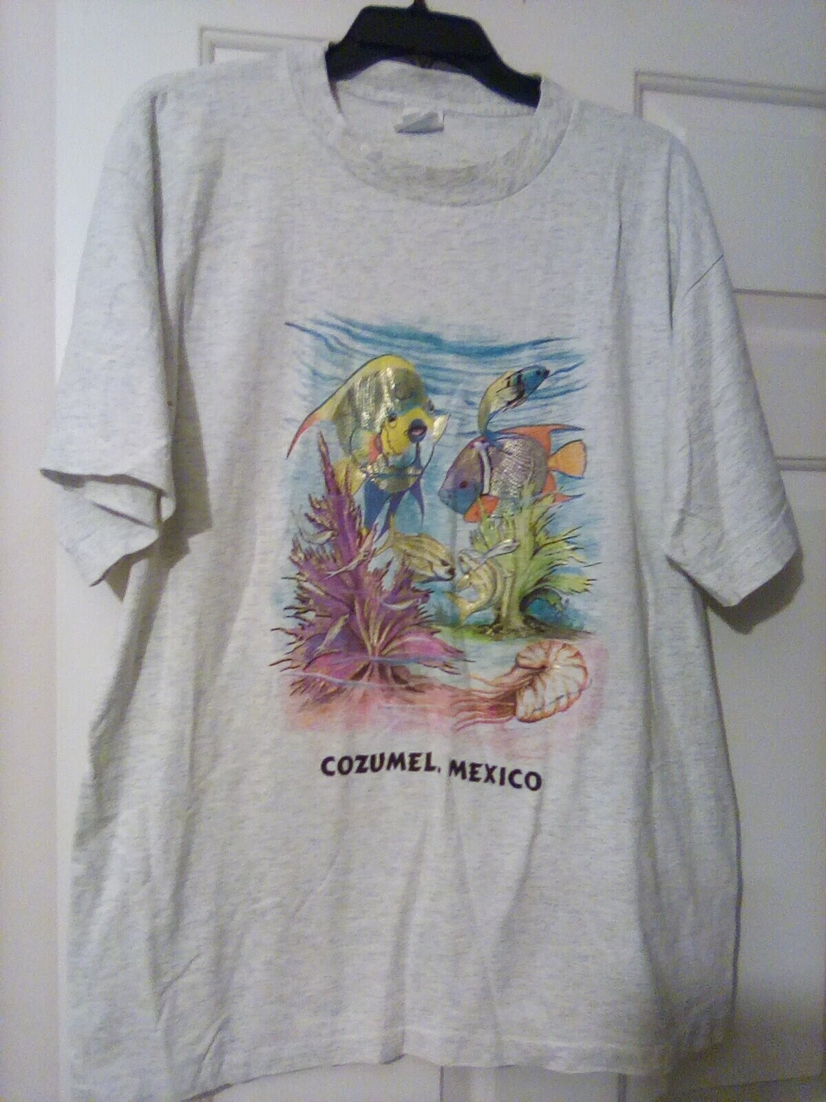 NEW Cozumel Mexico T Shirt Heather Grey with Tropical Fish gallery