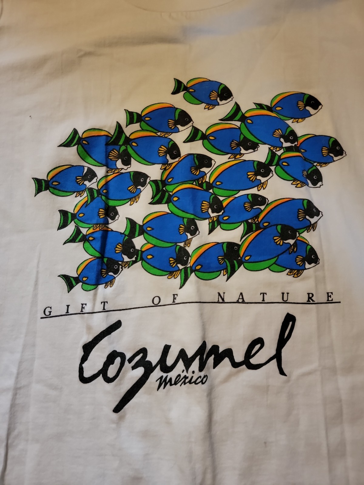 Vintage Early 2000s Cozumel Mexico Fish Tshirt. Size L gallery