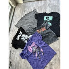 Bulk Lot 25 Graphic Band Tees Nirvana Led Zeppelin Rolling Stones Rap Rock