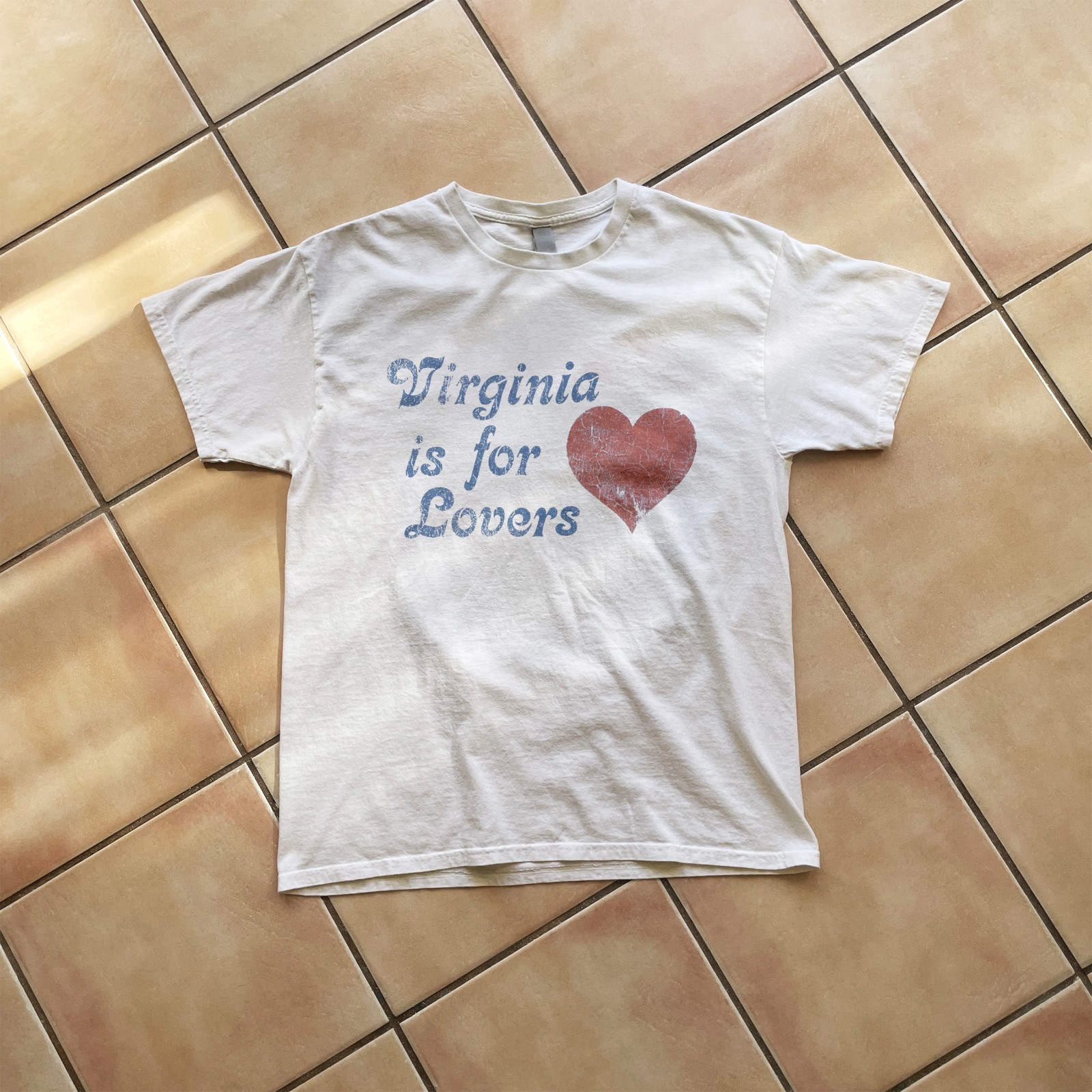 Virginia Is For Lovers Y2k T-Shirt gallery
