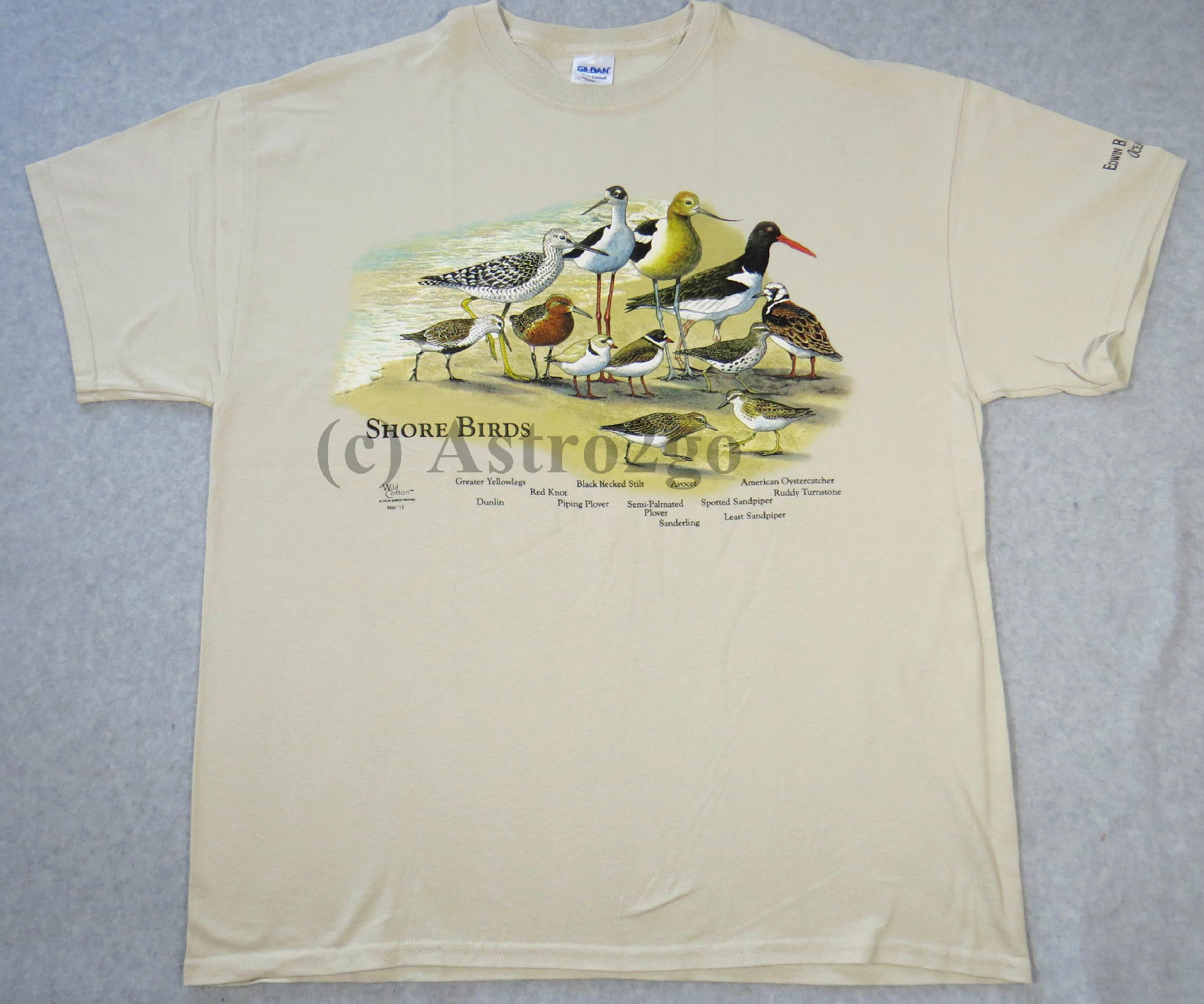 SHORE BIRDS-Plover Sandpiper Oystercatcher Nature Beach Sea Science T shirt S-2X gallery