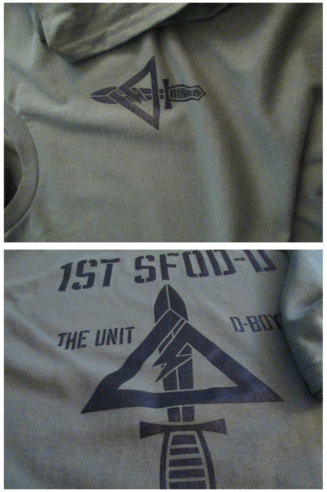 Delta Force Airborne (1st SFOD-D) Fort Bragg The Unit Silk-Screened T-Shirt LARG gallery